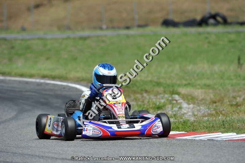 DSC_ (434).jpg